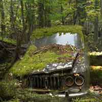 Abandoned Forest Treasure Escape