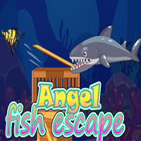 Angel Fish Escape