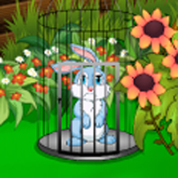 Cute Easter Bunny Escape