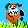 Duck Hunt