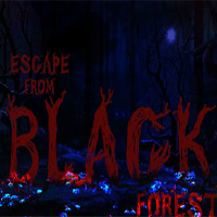 Escape From Black Forest