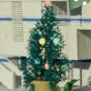 Find the Objects in X Mas Street