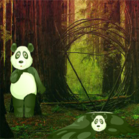 Giant Panda Forest Escape