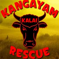 Kangayam Kalai Rescue Escape