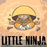 Little Ninja