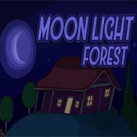 Moon Light Forest