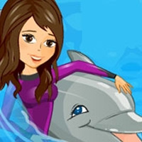 My Dolphin Show