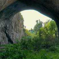 Mysterious Cave Forest Escape