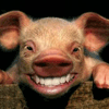 Pandemic American Swine