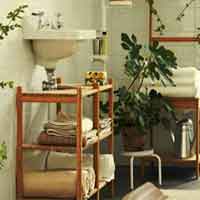 Plant Furnishing House Escape