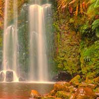 Turkey Waterfall Forest Escape