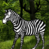 Zebra Rescue Escape