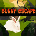 Bunny Escape