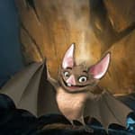Help The Cave Bat