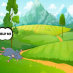 Give First Aid Sick Rat