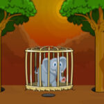 Help the Lonely Elephant
