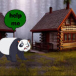Panda Searching for Her Infant