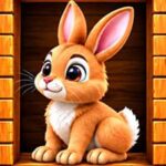 Rescue the Baby Bunny