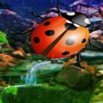 Ladybug Rainforest Escape